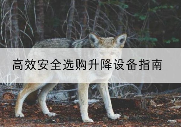 治多升降货梯厂家推荐-*安全选购升降设备指南
