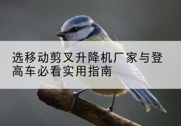 治多电动升降机厂家-选移动剪叉升降机厂家与登高车必看实用指南