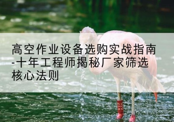 治多剪叉式升降机厂家-高空作业设备选购实战指南-十年工程师揭秘厂家筛选核心法则